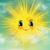 Suni Johnson's profile image