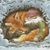 Kat Penrose-DeClark's profile image