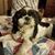 Lynn Fujiwara-Chun's profile image