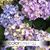 Debbie Holmstrom's profile image