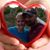 April Norris's profile image