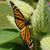 Jeannie Botwinski Winburn's profile image