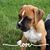Asha Ruddy's profile image