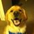 Julie Peters's profile image