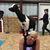 Alexis Saravia's profile image
