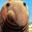 James's profile image