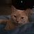 Wendy Ludovicy's profile image