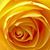 Gen Granillo-Duncanson's profile image