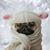Cindy Harrigan's profile image