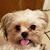 Ashley Danford's profile image