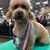 Christine Nicole Romanski's profile image
