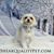 Maryann Coppola Kepreos's profile image