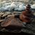 Ronda Marten's profile image