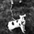 Trent Brewer's profile image
