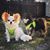 Susan Masley's profile image