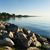 Ann Bobek's profile image
