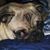 Suzette Lynn Tuberville's profile image
