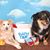 Basil N Gypsy Hayden's profile image