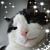 Myla Kurtz's profile image