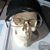 Rob Overstreet's profile image
