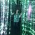 Alison Forrest Jackson's profile image