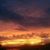 Theresa Ann Foster's profile image
