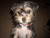Kristy P.'s profile image
