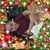 Irma Ramirez's profile image