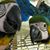 Kathy Garber's profile image