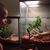 Amanda Hosler's profile image
