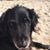 Wendy Garrick Long's profile image
