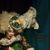 Alimac Etra's profile image