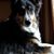 Pam Sholtis's profile image