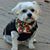 Joanne Conrad's profile image