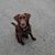 Mike Wills's profile image