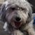 Hollie Haddan Wilson's profile image