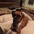 Sissy Haffner's profile image