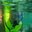 Don Diamant's profile image