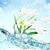 Tabitha Rynkiewicz-McCaughey's profile image