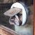 Todd Beck's profile image