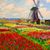 Harriet Brown's profile image