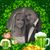 Cathy Robinson Popovich's profile image