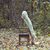 Shannon Markham's profile image