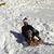 Christopher Eager's profile image