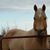 Robin Oakes-Denley's profile image