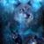 Connie Vanlangendonck's profile image