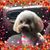 Cathy Everage Wade's profile image