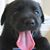Terri Woodrow's profile image