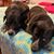 Amy Healey- Carter's profile image