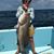 Ashley Leibe's profile image